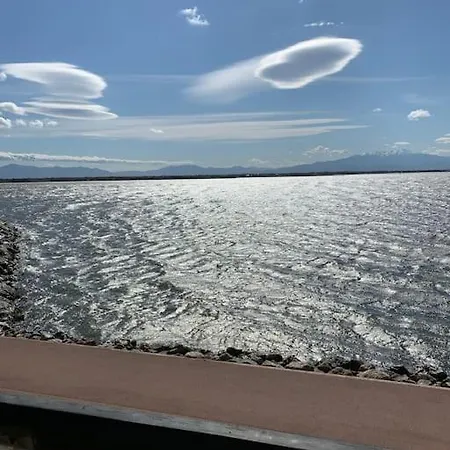 Vue Imprenable Sur Le Marin Et Canigou Apartment