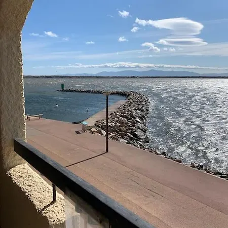 Vue Imprenable Sur Le Marin Et Canigou *